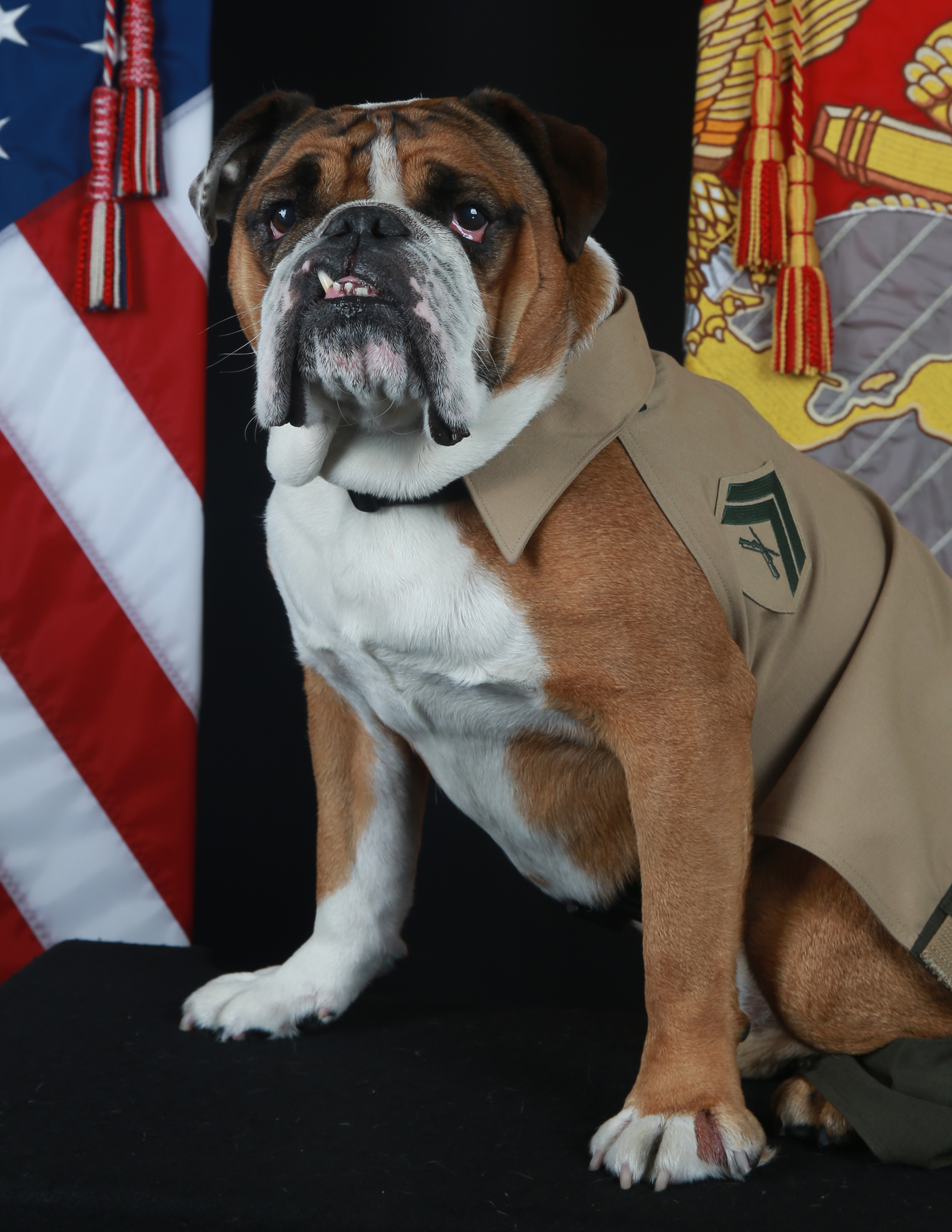 ​Image By Jesse Lora, MCRDSD, COMMSTRAT